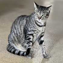 Thumbnail photo of jodie #2