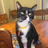 Thumbnail photo of Meadow #3