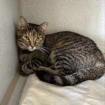 Thumbnail photo of brenda #2