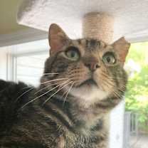 Thumbnail photo of Jose 2023 #1