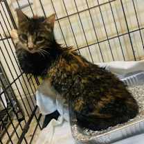 Thumbnail photo of brenda #3