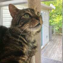 Thumbnail photo of Jose 2023 #2