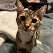 Thumbnail photo of Jackie 2022 #3