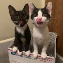 Thumbnail photo of Soul #3