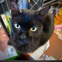 Thumbnail photo of Tina #2