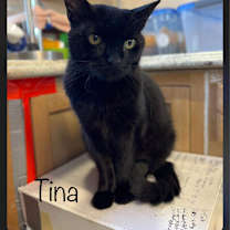 Thumbnail photo of Tina #4