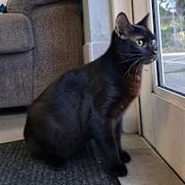 Thumbnail photo of Cassidy #2