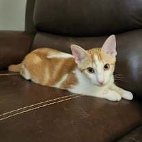 Thumbnail photo of Payton #1