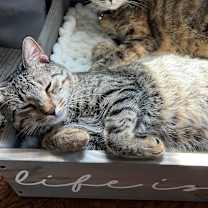 Thumbnail photo of Max #2