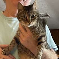 Thumbnail photo of Recon #4