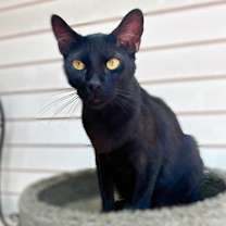 Thumbnail photo of Zack #1