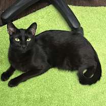 Thumbnail photo of Zack #2