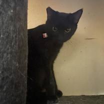 Thumbnail photo of Sissy #2