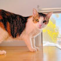 Thumbnail photo of Grace #2