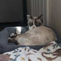 Thumbnail photo of Isla #1