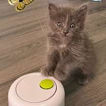 Thumbnail photo of Sylvia #2