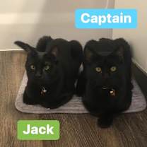 Thumbnail photo of Jack #2