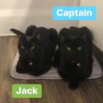 Thumbnail photo of Captain  #2