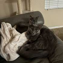 Thumbnail photo of Cora #3