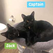 Thumbnail photo of Jack #3