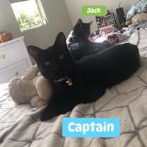 Thumbnail photo of Captain  #3