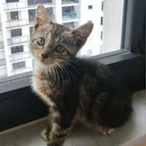 Thumbnail photo of Oliver #1