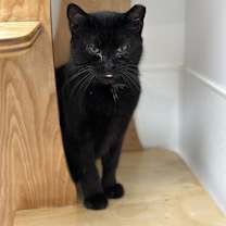 Thumbnail photo of Esme #3