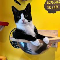 Thumbnail photo of Hope #1