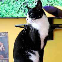 Thumbnail photo of Hope #3