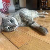 Thumbnail photo of Misty #4