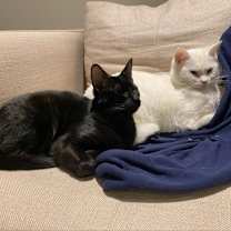 Thumbnail photo of Freya #1
