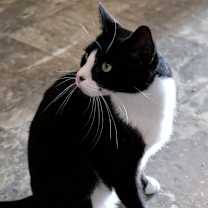 Thumbnail photo of Hope #4