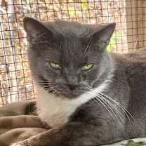 Thumbnail photo of Stella #1