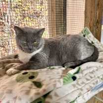 Thumbnail photo of Stella #2