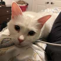 Thumbnail photo of Freya #4