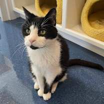 Thumbnail photo of Quic #1