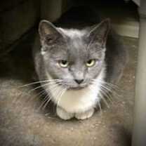 Thumbnail photo of Stella #3