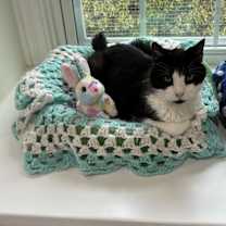 Thumbnail photo of Quic #2