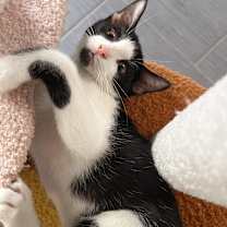 Thumbnail photo of MIEL #1