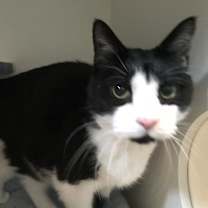 Thumbnail photo of Quic #3