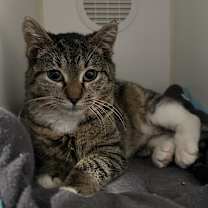 Thumbnail photo of Hannah #3