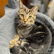 Thumbnail photo of Monica #1