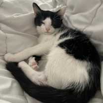 Thumbnail photo of SWEET #3