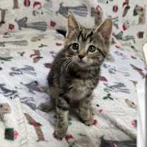 Thumbnail photo of Monica #2