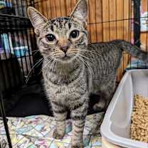 Thumbnail photo of Alex #1