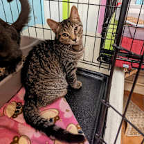 Thumbnail photo of Alex #2