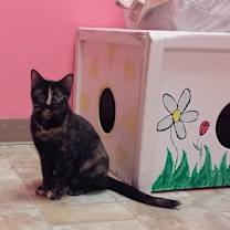 Thumbnail photo of Annie Bananie #2