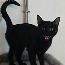 Thumbnail photo of George #1