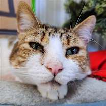Thumbnail photo of O'Malley #1