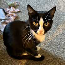 Thumbnail photo of Charlotte #3